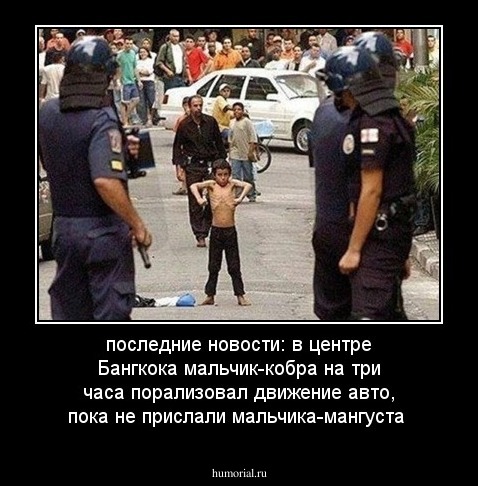 последние новости: в центре Бангкока мальчик-кобра на три часа порализовал движение авто, пока не прислали мальчика-мангуста