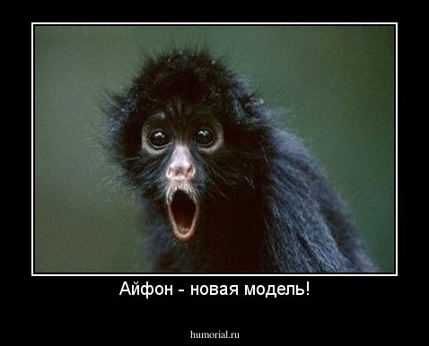 Айфон - новая модель!