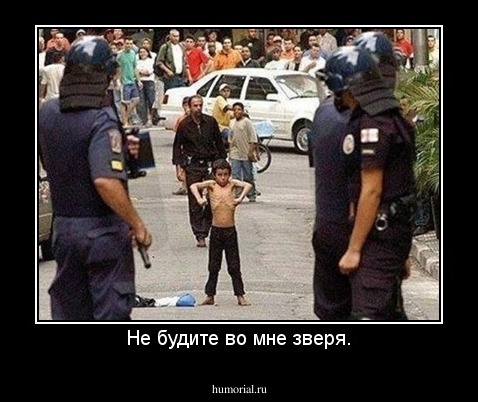 Не будите во мне зверя.