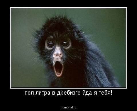 пол литра в дребизге ?да я тебя!