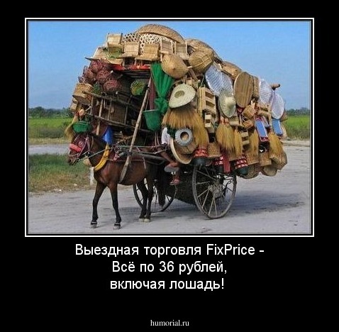 Выездная торговля FixPrice - Всё по 36 рублей, включая лошадь!