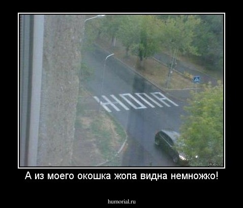 А из моего окошка жопа видна немножко!