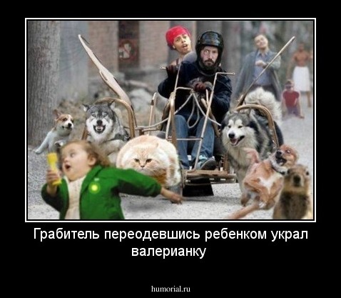 Грабитель переодевшись ребенком украл валерианку