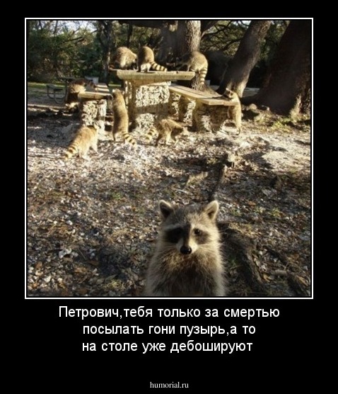 Петрович,тебя только за смертью посылать гони пузырь,а то на столе уже дебошируют