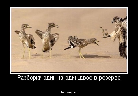 Разборки один на один,двое в резерве