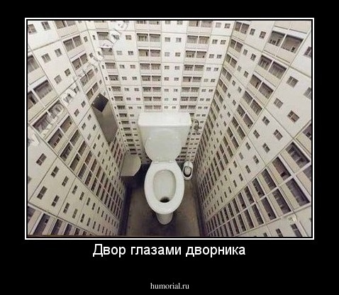 Двор глазами дворника