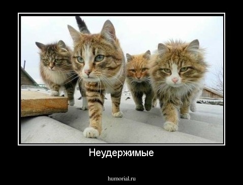 Неудержимые