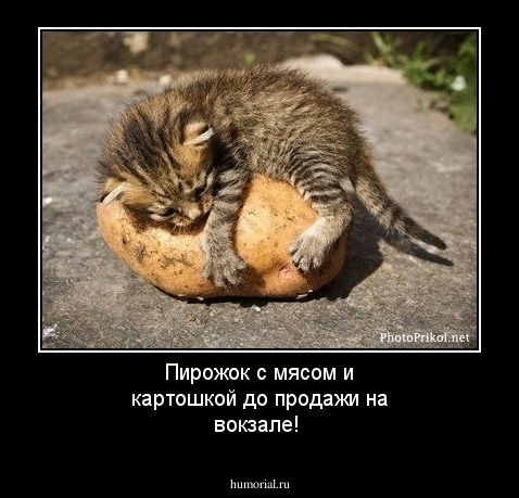 Пирожок с мясом и картошкой до продажи на вокзале!