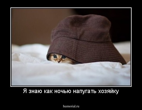 Я знаю как ночью напугать хозяйку