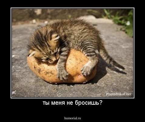 ты меня не бросишь?