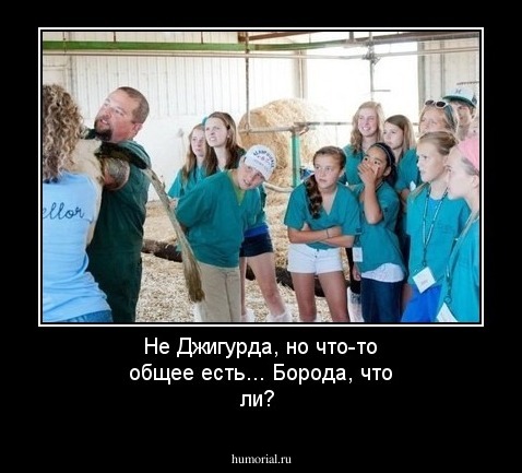 Не Джигурда, но что-то общее есть... Борода, что ли?