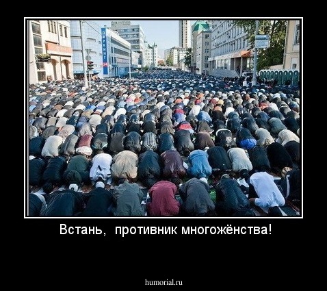  Встань,  противник многожёнства!
