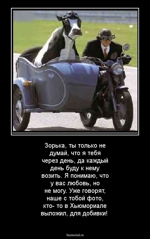 Зорька, ты только не думай, что я тебя через день, да каждый день буду к нему возить. Я понимаю, что у вас любовь, но не могу. Уже говорят, наше с тобой фото, кто- то в Хьюмориале выложил, для добивки!