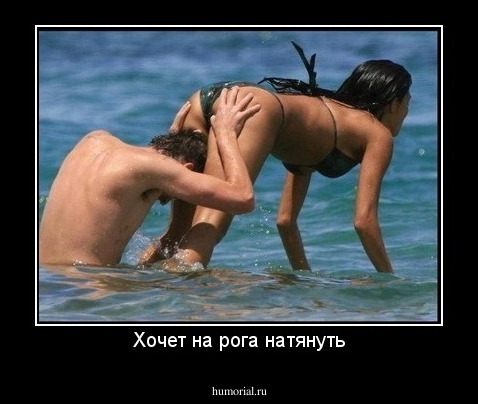 Хочет на рога натянуть