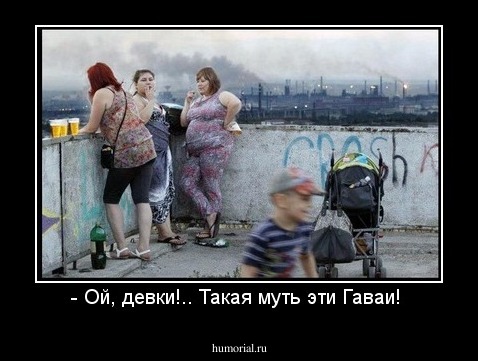 - Ой, девки!.. Такая муть эти Гаваи! 