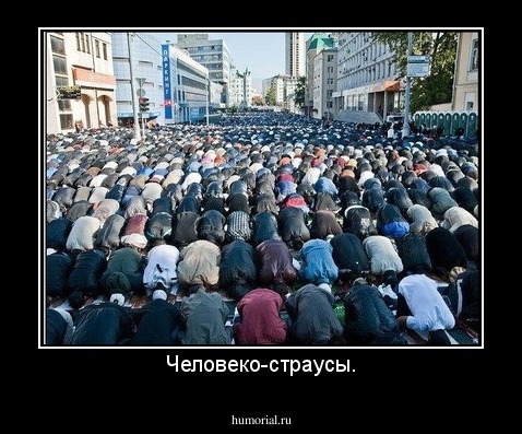 Человеко-страусы.