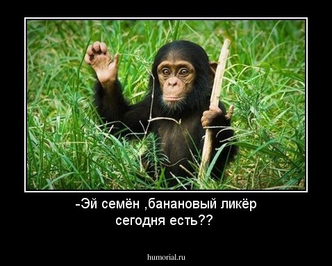 -Эй семён ,банановый ликёр сегодня  есть??