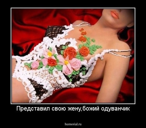 Представил свою жену,божий одуванчик