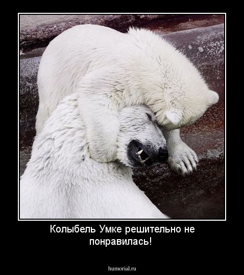 Колыбель Умке решительно не понравилась! 