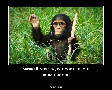 мжики!!!я сегодня вооот такого леща поймал