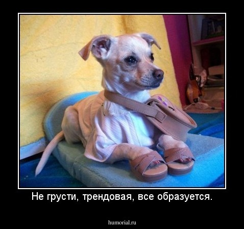 Не грусти, трендовая, все образуется.