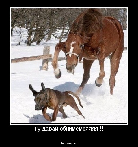 ну давай обнимемсяяяя!!!