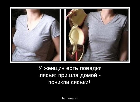 У женщин есть повадки лисьи: пришла домой - поникли сиськи!