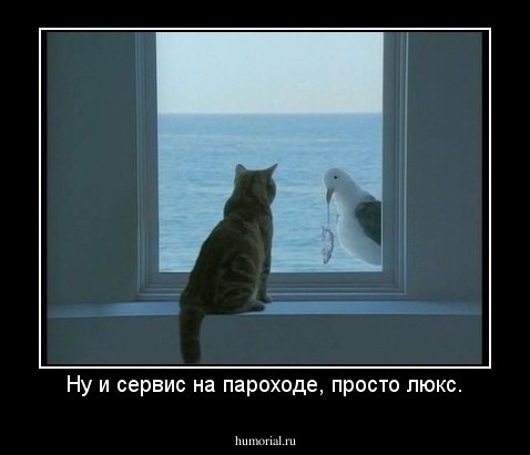 Ну и сервис на пароходе, просто люкс.