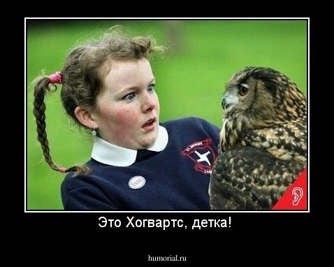 Это Хогвартс, детка! 