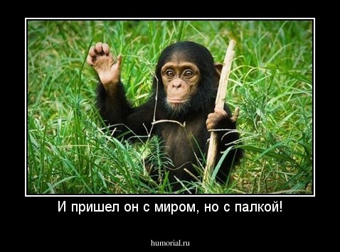 И пришел он с миром, но с палкой!
