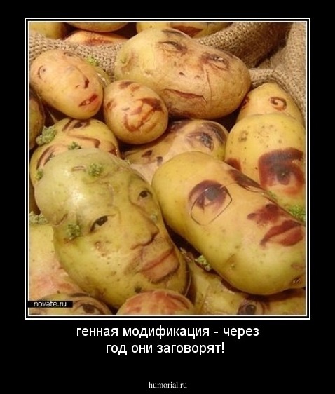 генная модификация - через год они заговорят!
