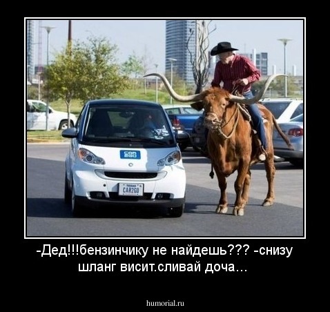 -Дед!!!бензинчику не найдешь???
-снизу шланг висит.сливай доча...