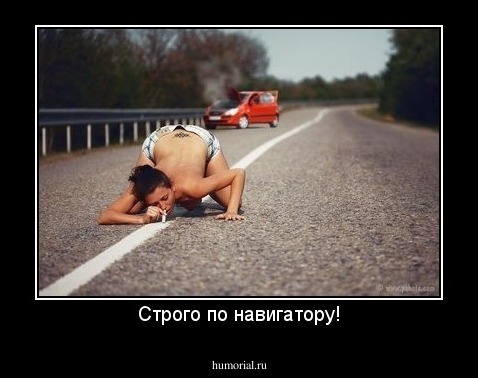 Строго по навигатору!