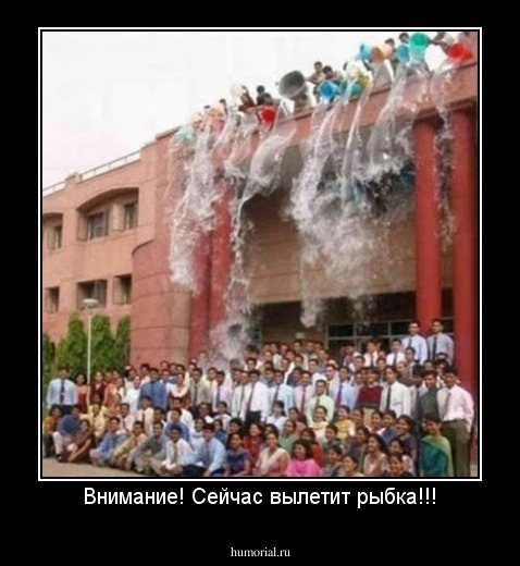 Внимание! Сейчас вылетит рыбка!!!