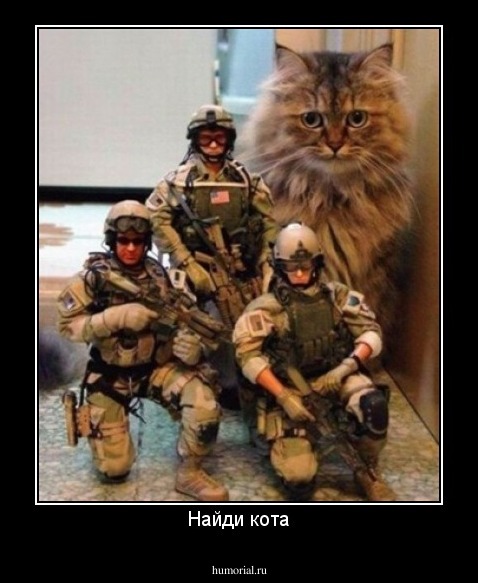 Найди кота