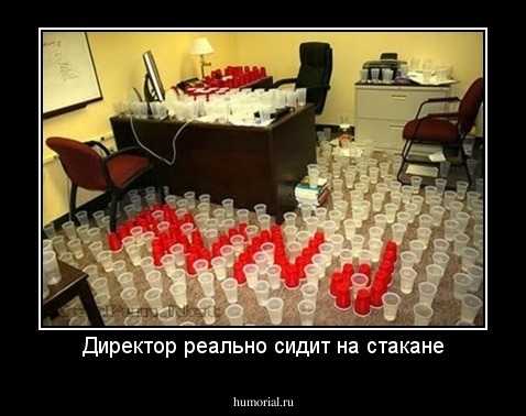 Директор реально сидит на стакане