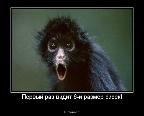 Первый раз видит 6-й размер сисек!