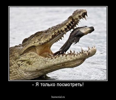 - Я только посмотреть!
