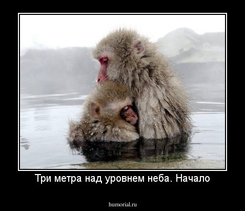 Три метра над уровнем неба. Начало