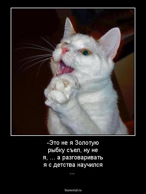 -Это не я Золотую рыбку съел, ну не я, ... а разговаривать я с детства научился ...