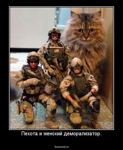 Пехота и женский деморализатор.