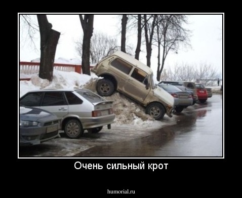Очень сильный крот