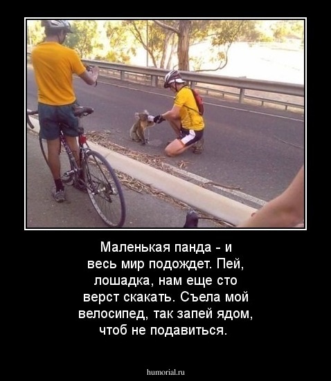 Маленькая панда - и весь мир подождет.

Пей, лошадка, нам еще сто верст скакать.

Съела мой велосипед, так запей ядом, чтоб не подавиться.
