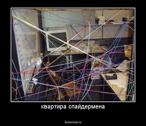 квартира спайдермена