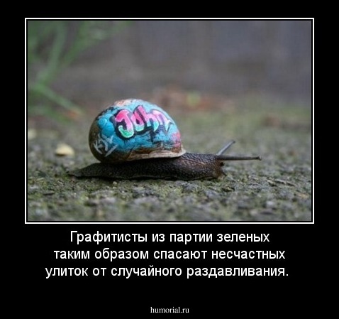 Графитисты из партии зеленых таким образом спасают несчастных улиток от случайного раздавливания.