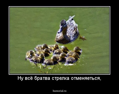 Ну всё братва стрелка отменяеться,