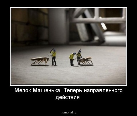 Мелок Машенька. Теперь направленного действия