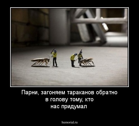 Парни, загоняем тараканов обратно в голову тому, кто нас придумал