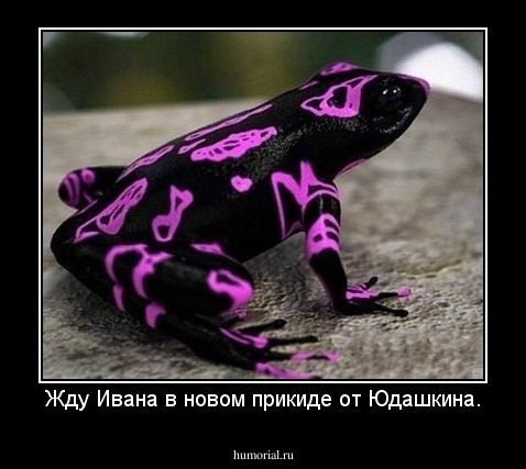 Жду Ивана в новом прикиде от Юдашкина.