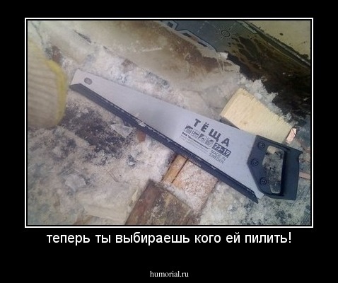 теперь ты выбираешь кого ей пилить!